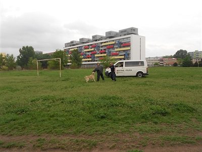 psovodi 004